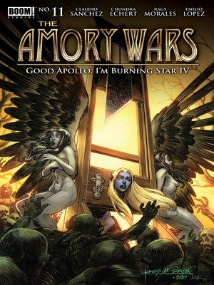 cover image of The Amory Wars